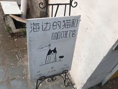 -海边的猫和咖啡馆
