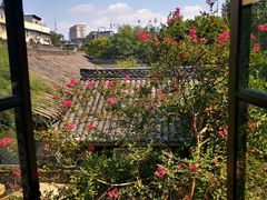-见山书院