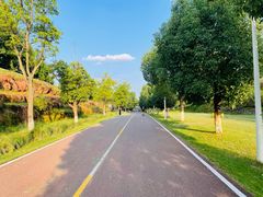 -白鹭湾湿地公园