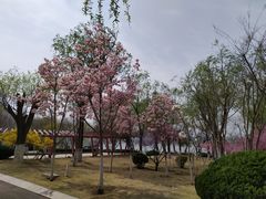 -济南国际园博园