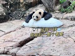 -广州长隆野生动物世界