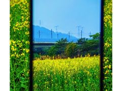 -光明小镇欢乐田园