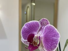 -万达广场(万州店)