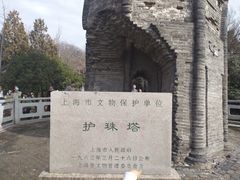 -上海佘山国家森林公园天马山园