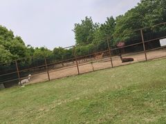 -扬州天乐湖嬉乐谷