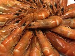 -北海港酒楼 海鲜代加工 粤菜(淡村商贸城店)