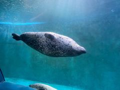 -青岛海底世界-水族馆