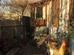 -斯多格书乡(北京大学畅春园店)