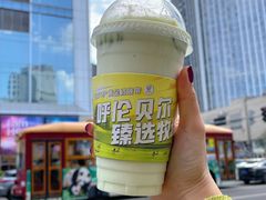 -茉酸奶(春熙路店)