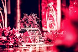 -天泰一站式婚宴·宴会厅