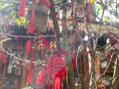-国恩寺