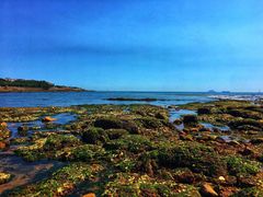 -青岛得宝湾维景国际大酒店(五四广场奥帆中心店)