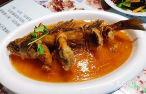 Sauce-Drizzled Fish