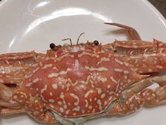 -川骄海鲜自助(亚运村店)