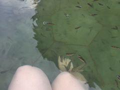 -苏州湾王焰温泉度假酒店
