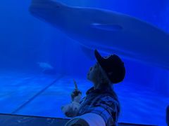 -多彩贵州城极地海洋世界