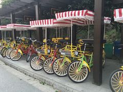 自行车-旺山景区