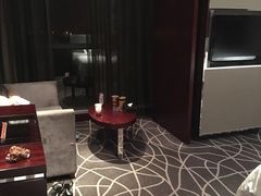 -常州环球恐龙城维景国际大酒店