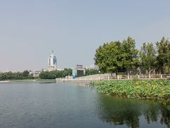 -莲花池公园
