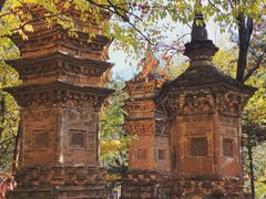 -潭柘寺景区