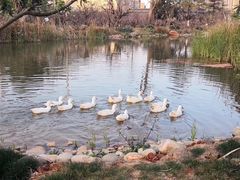 -云南艺术学院(呈贡校区)