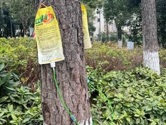 -宁波儿童公园(鄞州区)
