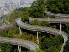 -福道