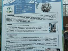 -青藏高原野生动物园