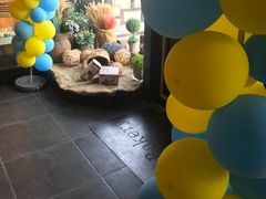 -开心草帽(文化西路店)