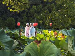 -洛阳市隋唐城遗址植物园