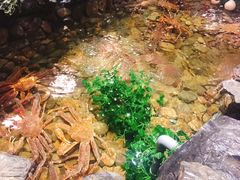 -綱元·海鲜豆捞(明州里店)