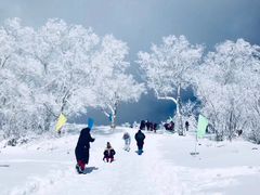 -亚布力新体委滑雪场