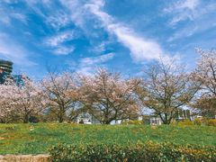 -大阪儿童乐园