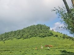 -上王村王家三合院农家乐