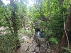 -四门塔风景区