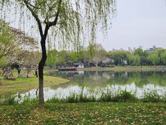 -堤角公园