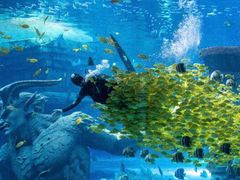 -波塞冬旅游度假区