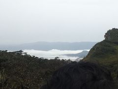 -霍顿平原国家公园