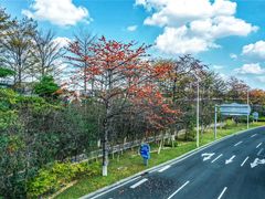 -松山湖南湖湾露营营地