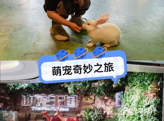 是不是大多数宝宝都在期待周末呀，家长们是不是已经找好