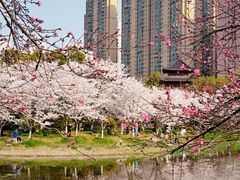 -堤角公园