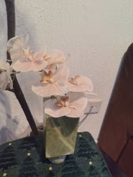 -小梨专业脱毛连锁机构