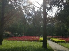 -西北农林科技大学(北校区)