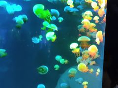 -福州罗源湾海洋世界旅游区