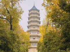 -灵谷景区