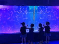 -左海海底世界