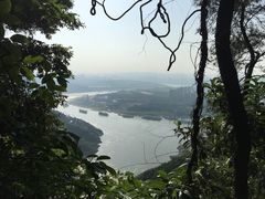 -铁山坪森林公园