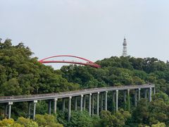 -金鸡山公园