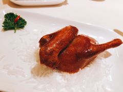 -利苑酒家(华熙国际店)