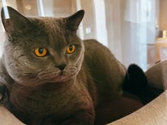 -Me Coffee下午茶艺术空间